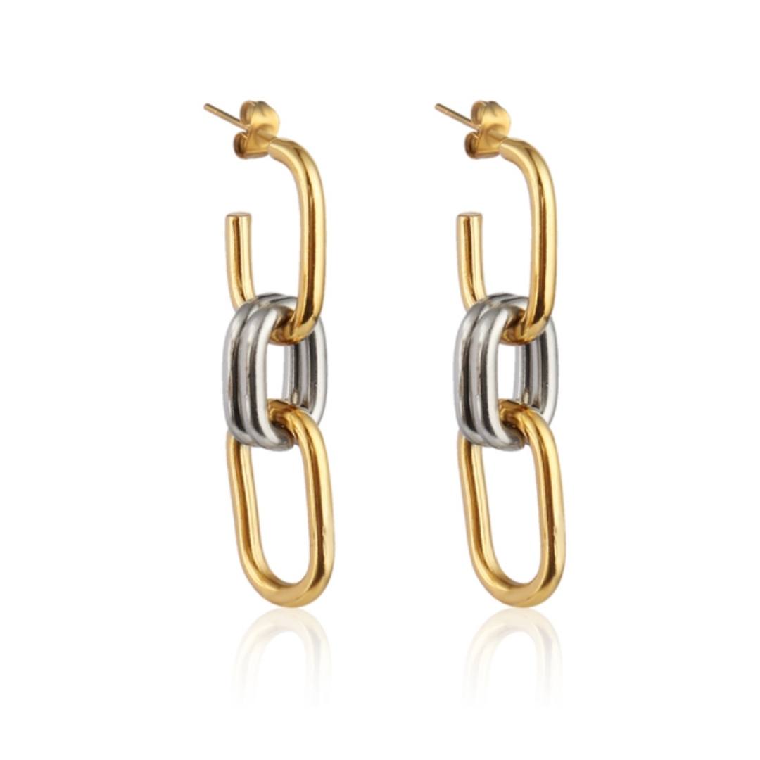 Elixa Two Tone Earrings