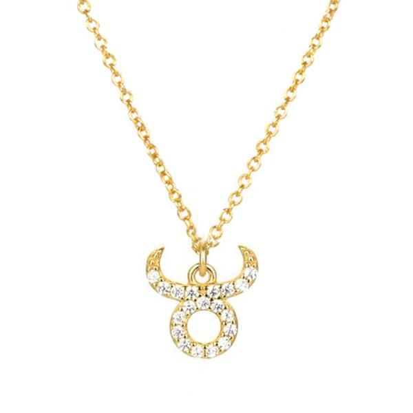 Icy Zodiac Necklace - House of Carats UK